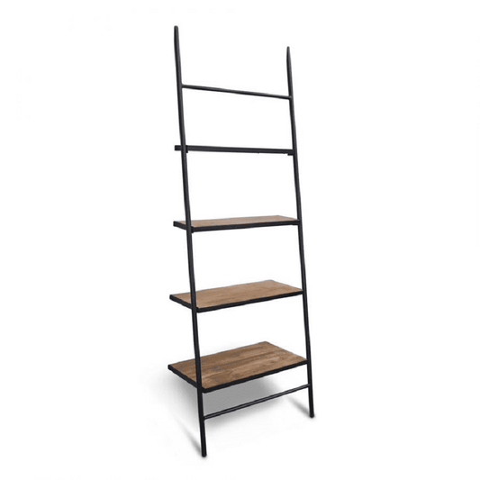 Ladder bookshelf