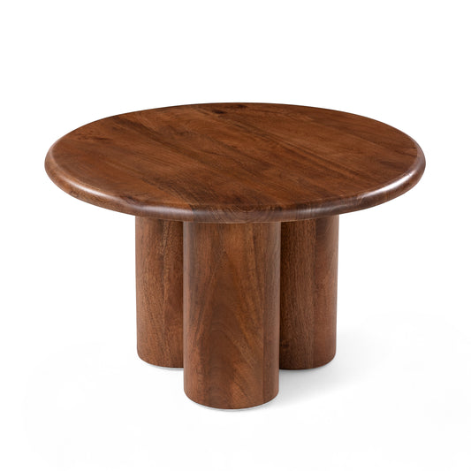 Solid Wood Coffee Table